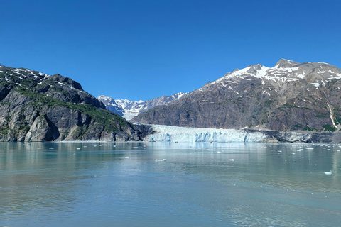 Glacier Bay & the Whales