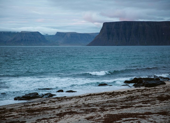 The Whale Coast