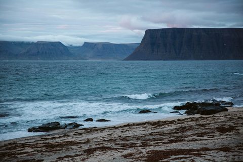 The Whale Coast