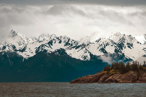 The Coastal Wilderness Retreat
