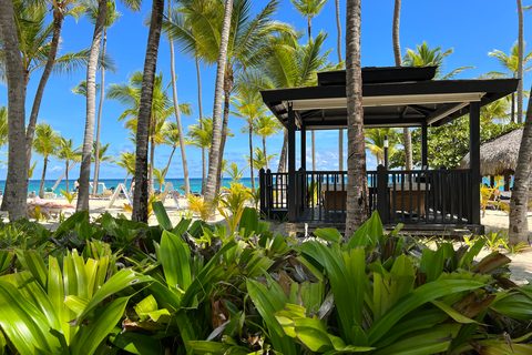 Wellness in Punta Cana