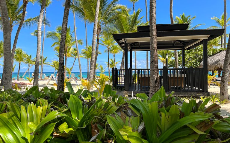 Wellness in Punta Cana