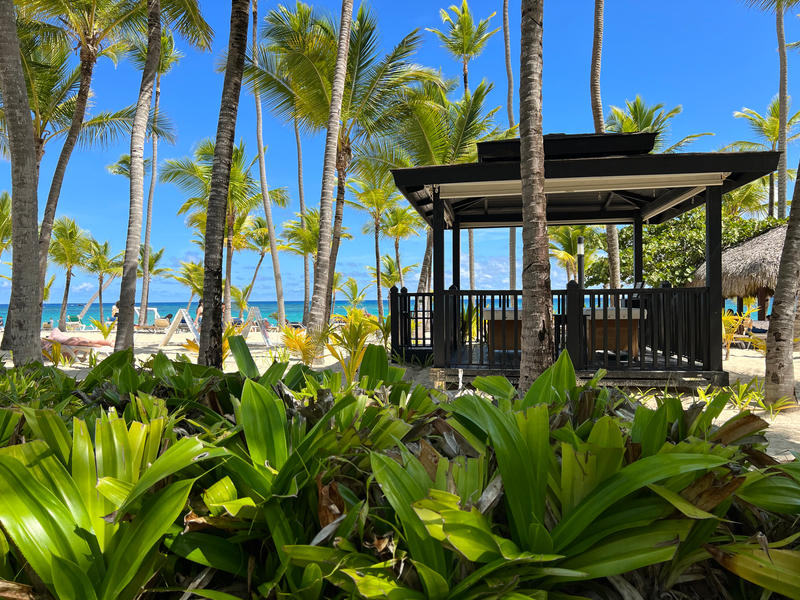 Wellness in Punta Cana — Punta Cana