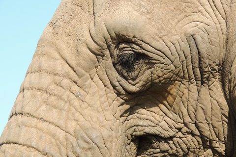 Conservation in South Africa