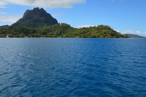 Beneath Bora Bora