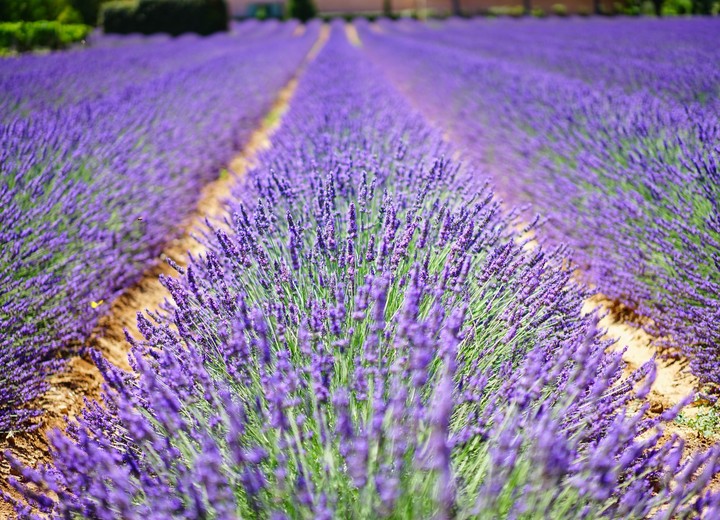 Wellness in Provence