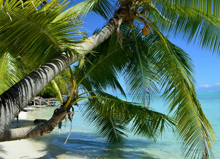 The Bora Bora Honeymoon