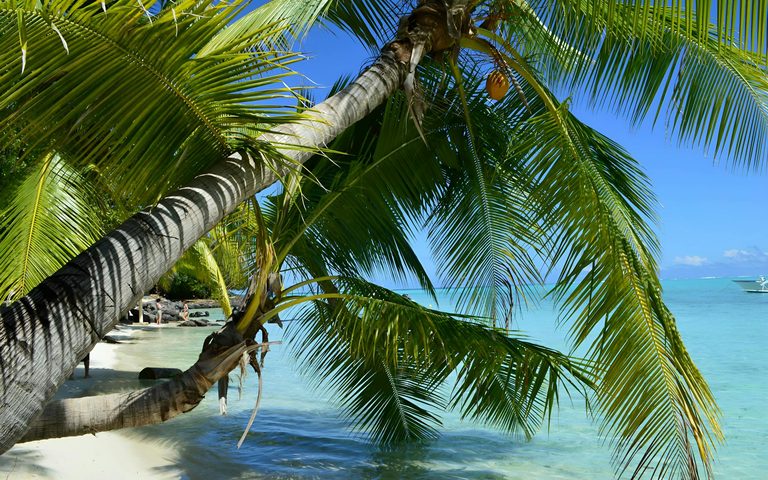 The Bora Bora Honeymoon