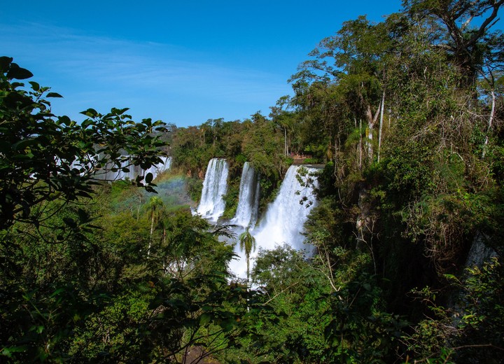 Iguazú Falls Photographic Safari