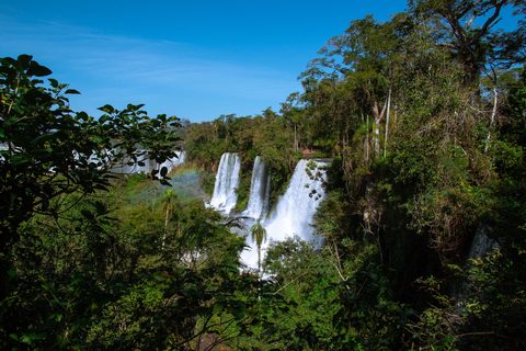 Iguazú Falls Photographic Safari