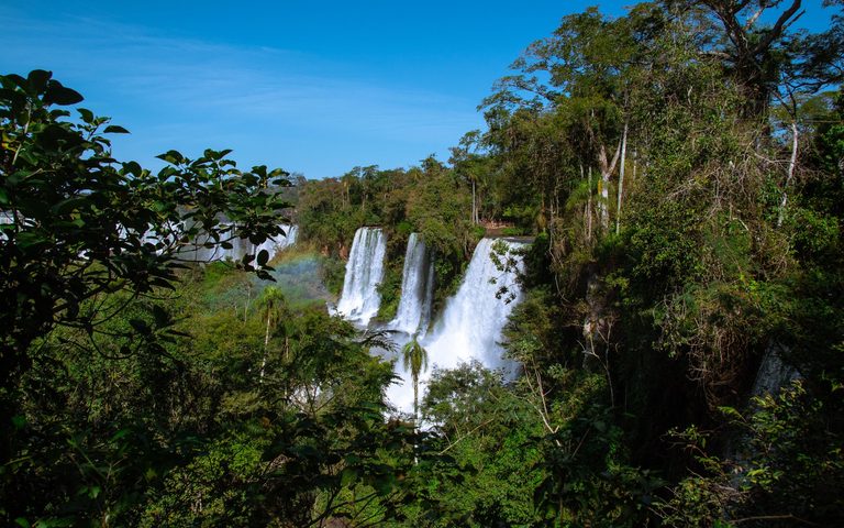 Iguazú Falls Photographic Safari