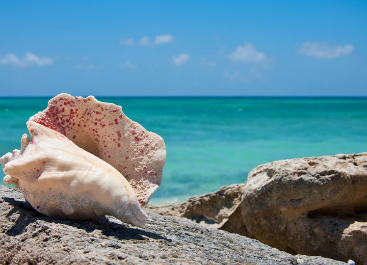 Turks & Caicos for the Family