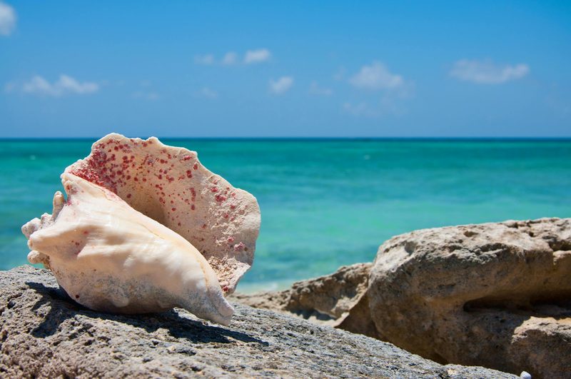 Turks & Caicos for the Family — Turks & Caicos