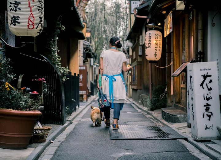 The Kyoto Honeymoon
