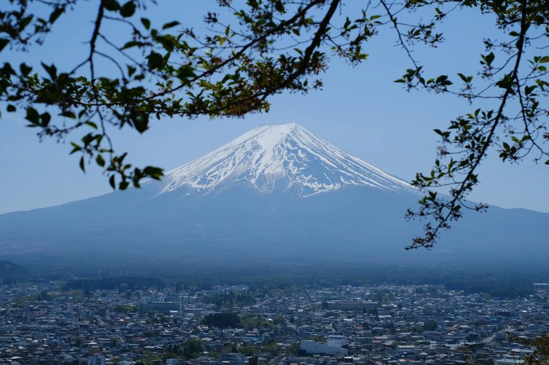 Wellness in Hakone — Hakone