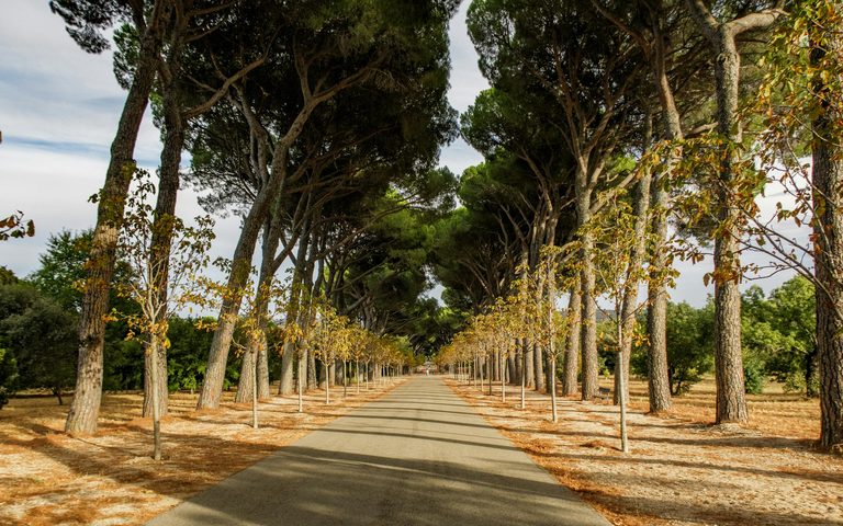 Madrid in the Shoulder Season