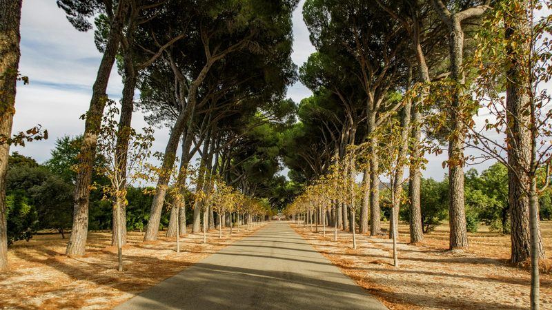 Madrid in the Shoulder Season — Madrid