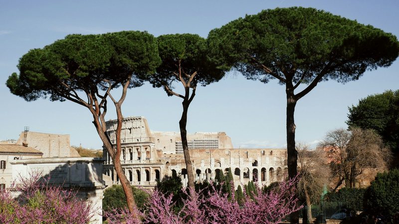 Rome in Spring — Rome