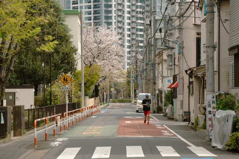 Wellness Japan