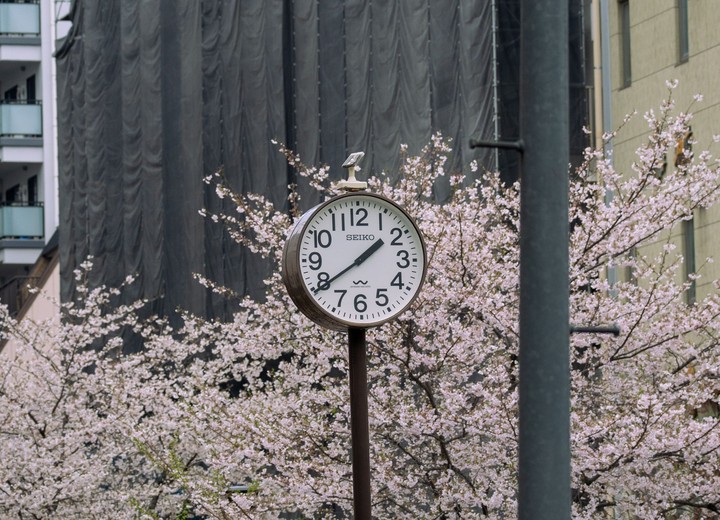 Spring in Naoshima