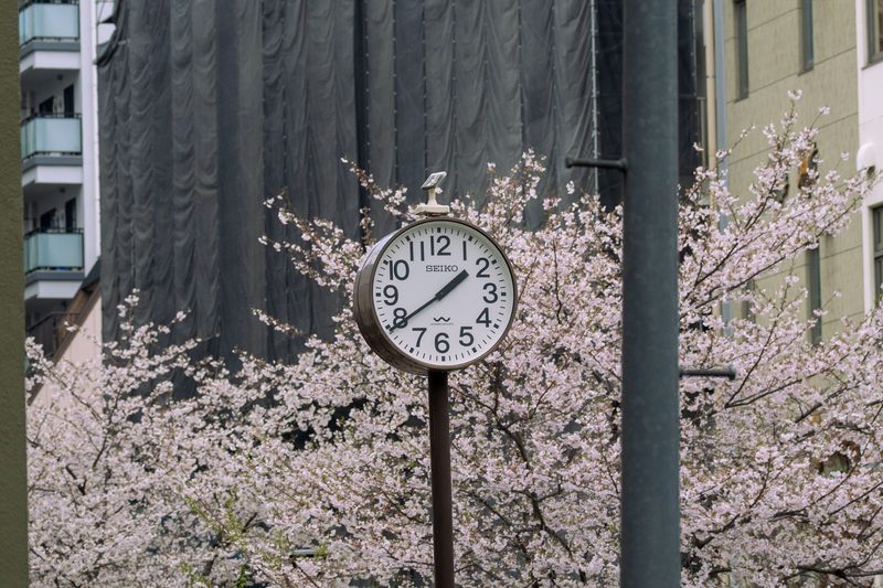 Spring in Naoshima — Naoshima