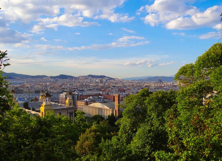 A Barcelona Summer