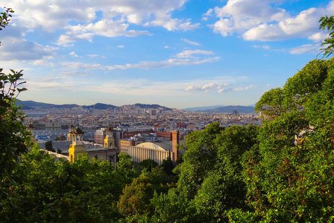 A Barcelona Summer