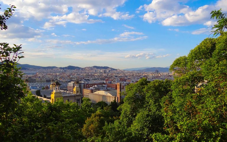 A Barcelona Summer