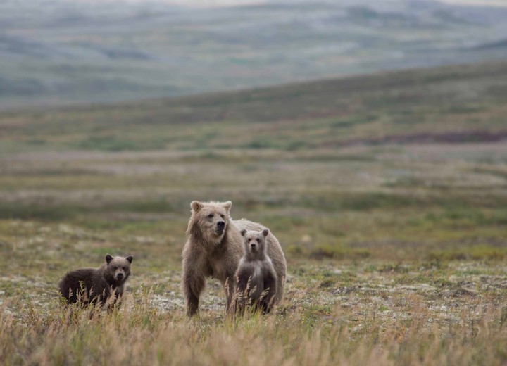Alaska for the Family