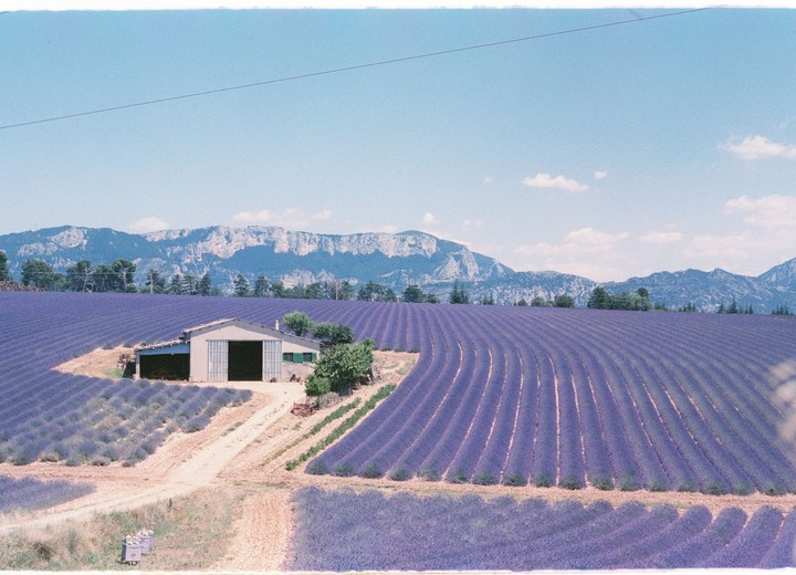 A Provence Summer