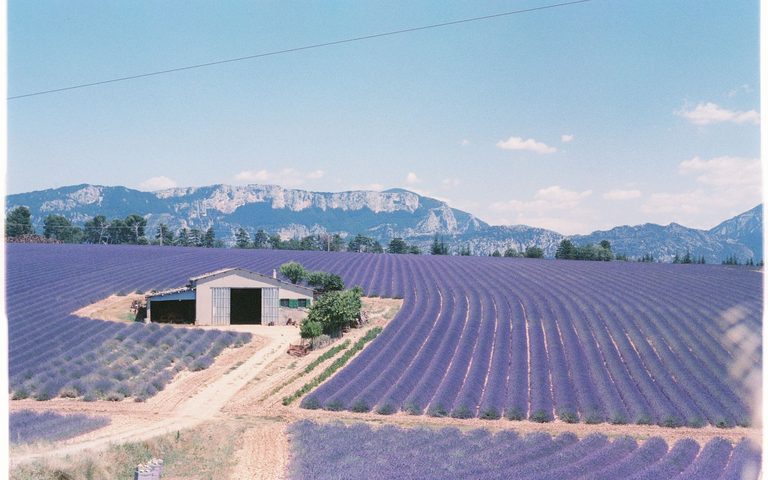 A Provence Summer