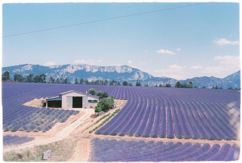 A Provence Summer — Provence