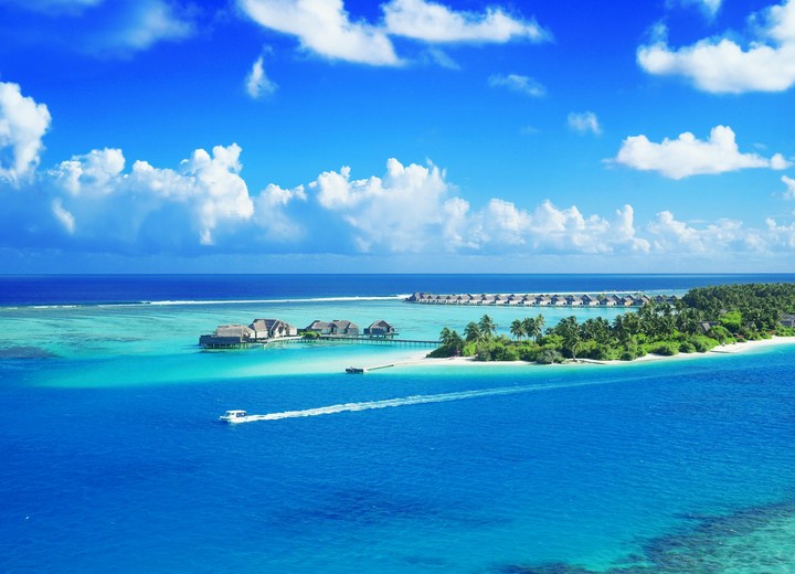 The Maldives Honeymoon