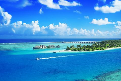 The Maldives Honeymoon