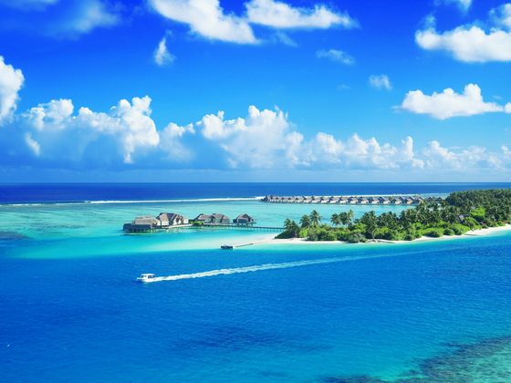 The Maldives Honeymoon