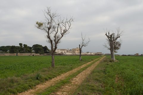 A Masseria Honeymoon