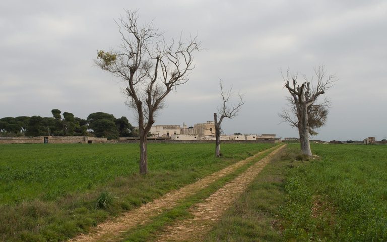 A Masseria Honeymoon