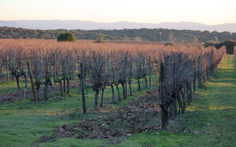 Coast & Wine