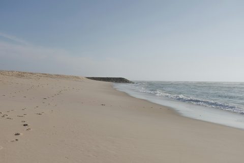 The Comporta Honeymoon