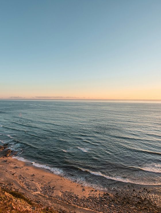Comporta