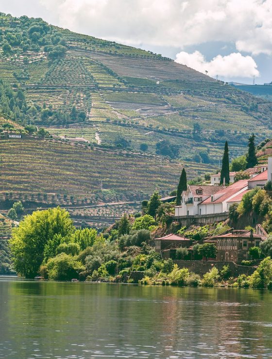 Douro Valley