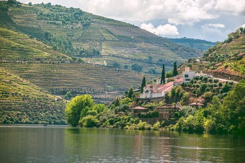River & Vines