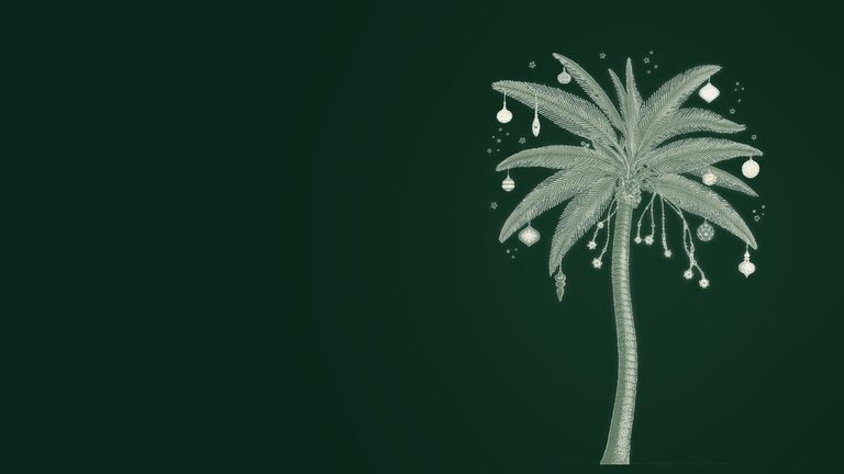 Eden Roc Cap Cana festive