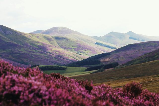 A whisky walk through Speyside