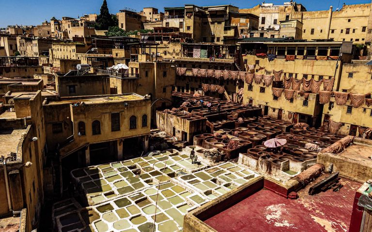 Fez — luxury travel by Forest Travel