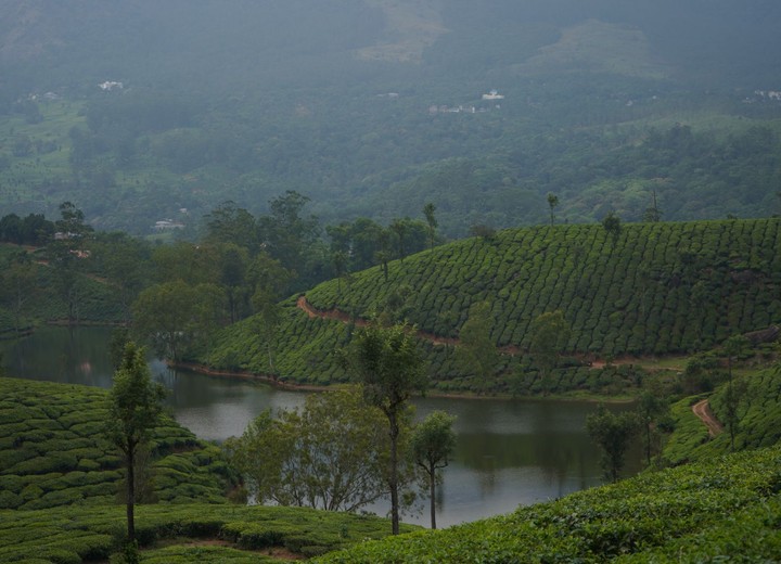 Kerala & the South