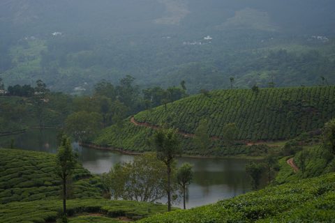 Kerala & the South
