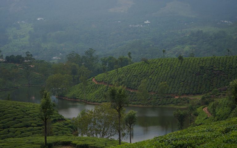 Kerala & the South
