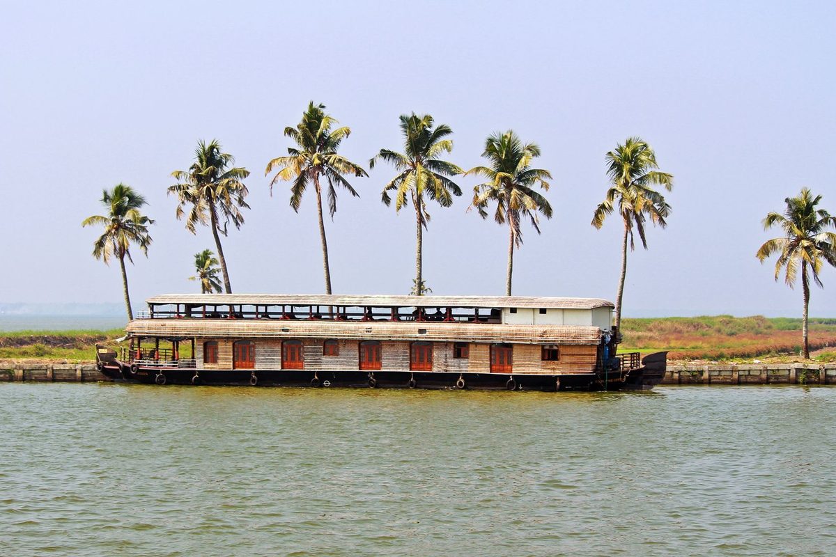 The Backwaters at Dawn
