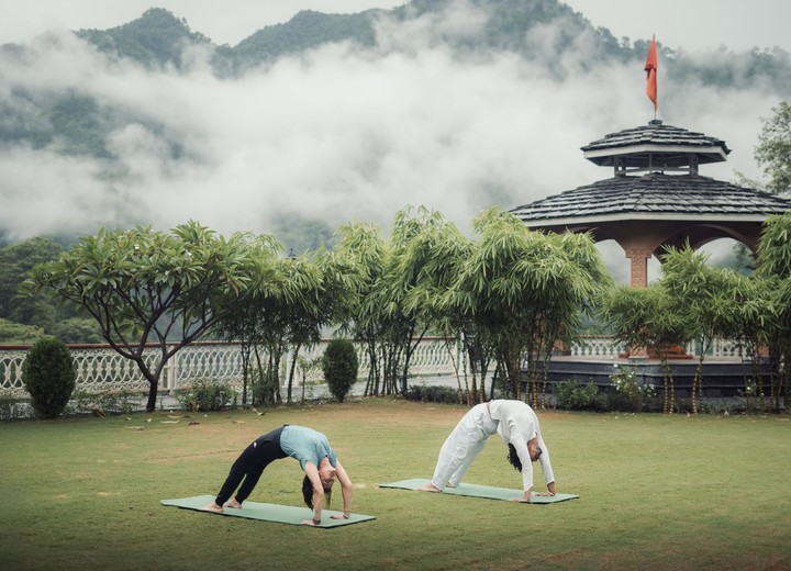 The Wellness Journey